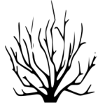 Habitable Spaces Favicon